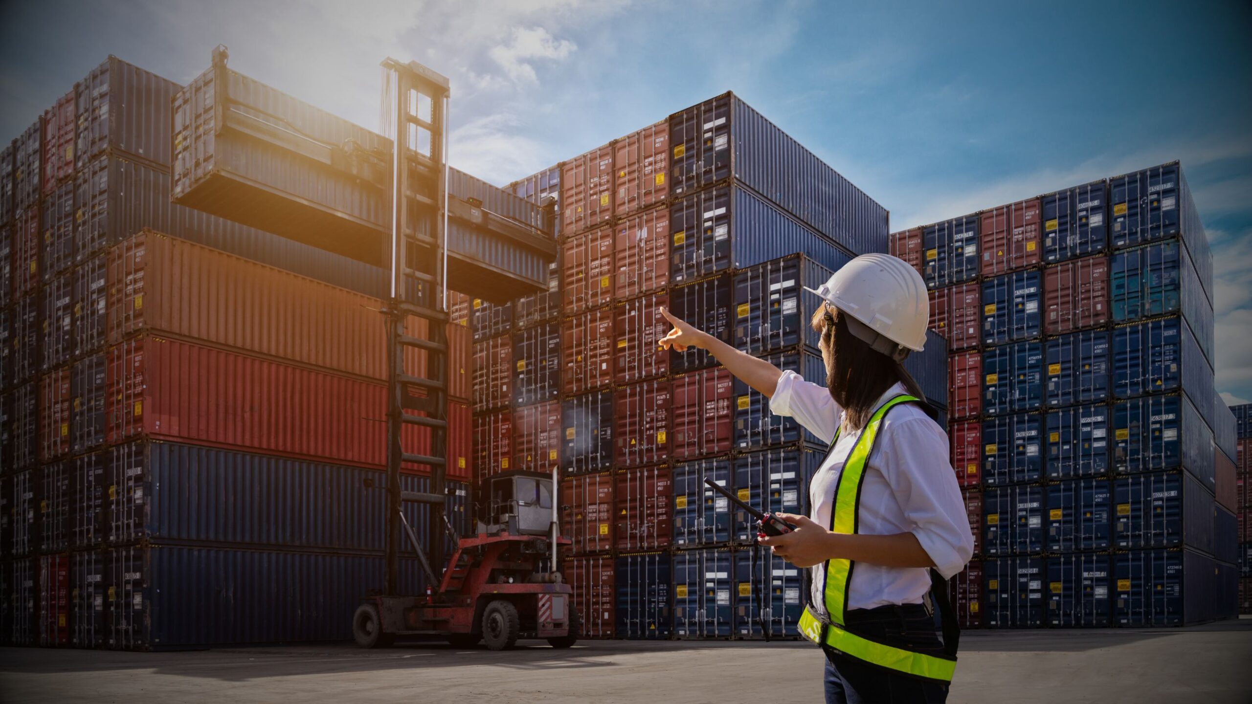 Importing & Exporting A female logistics manager in a hard hat and safety vest points toward a crane stacking large shipping containers at a busy port, symbolising global vehicle import and export.
